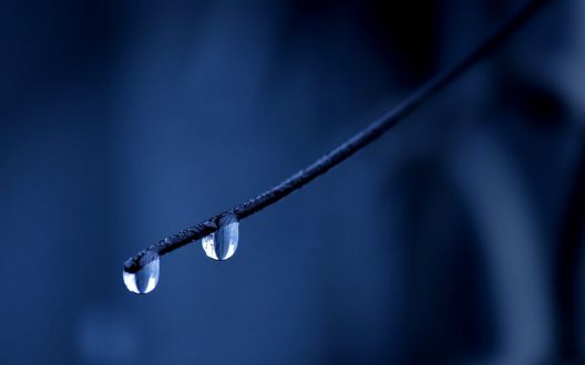 Обои на рабочий стол Две капли воды на синем фоне