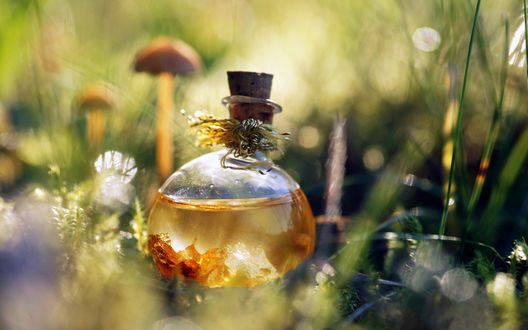 Обои на рабочий стол Бутылка с эфирным маслом стоит на земле, фотограф Littl3fairy