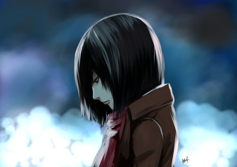 Обои на рабочий стол Mikasa Ackerman / Мисака Акерман из аниме Атака Титана / Attack on Titan / Shingeki no Kyojin