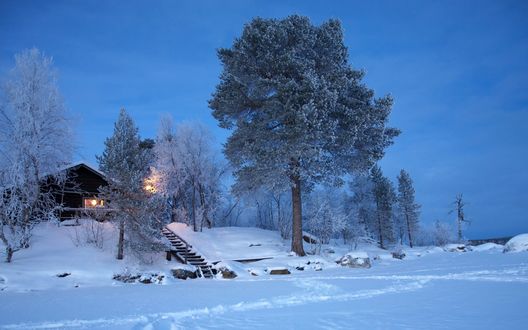 Обои на рабочий стол Дом в окружении деревьев и снега, Финляндия / Finland