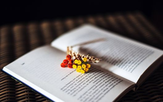 Обои на рабочий стол На страницах открытой книги лежат ягоды рябины, веточка с желтыми цветами и колосок