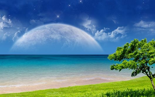 Обои на рабочий стол Дерево у берега моря на фоне планеты в небе