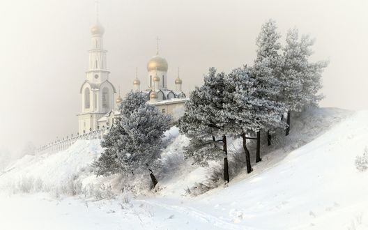 Обои на рабочий стол Снежные деревья около церкви