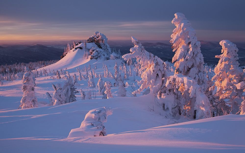 Обои для рабочего стола Деревья в снегу на фоне гор и неба