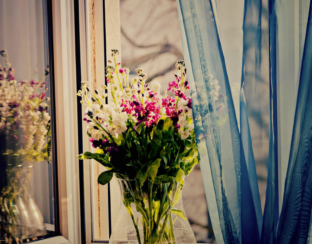 Обои для рабочего стола Ваза с цветами стоит на окне, фотограф Svetlana Peric