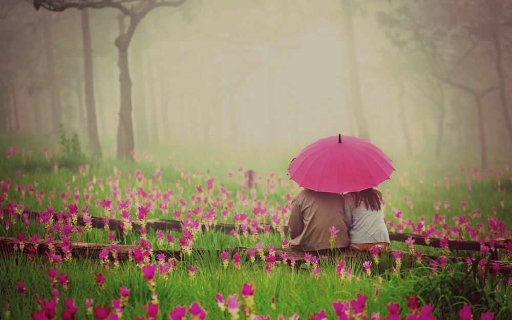 Обои для рабочего стола Мужчина с девушкой сидят под розовым зонтом на зеленой траве в окружении розовых цветов на фоне деревьев и тумана