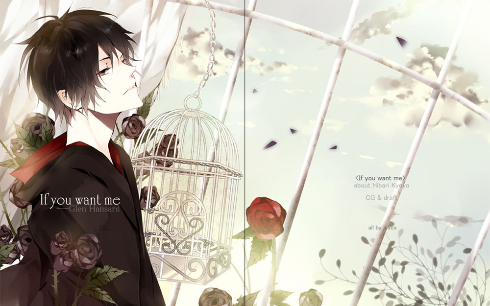 Обои для рабочего стола Хибари Кея / Hibari Kyoya из аниме Реборн / Reborn (If you want me / Если ты хочешь меня, Glen Hansard)