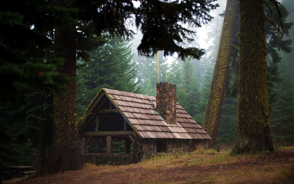 Дома в лесу - 87 фото