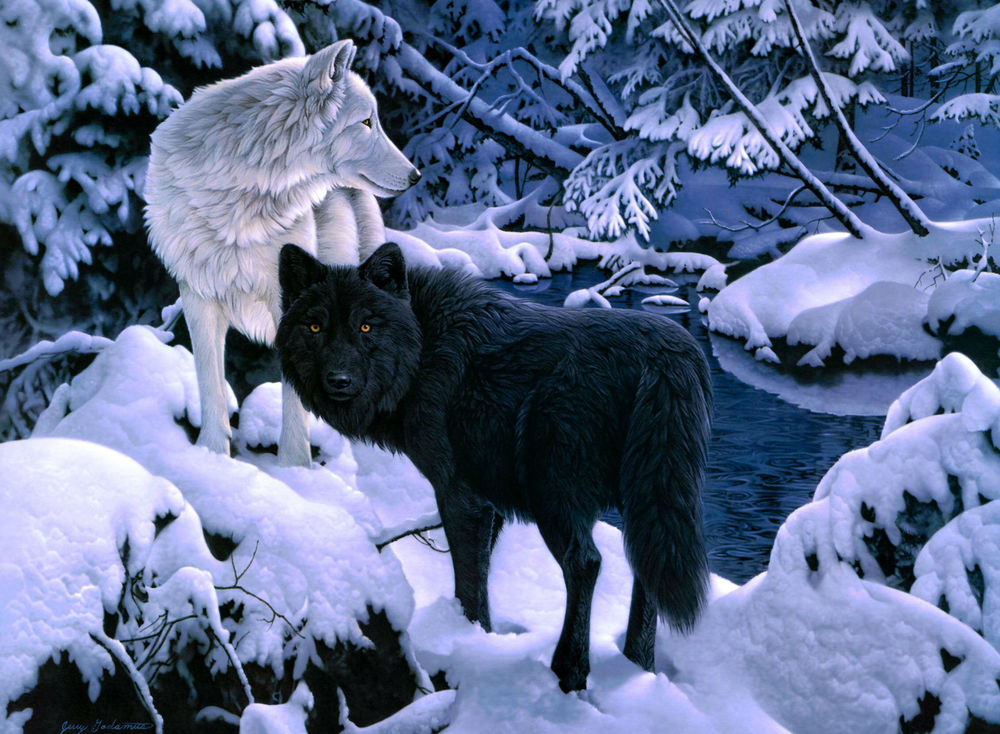 Волки/Wolves