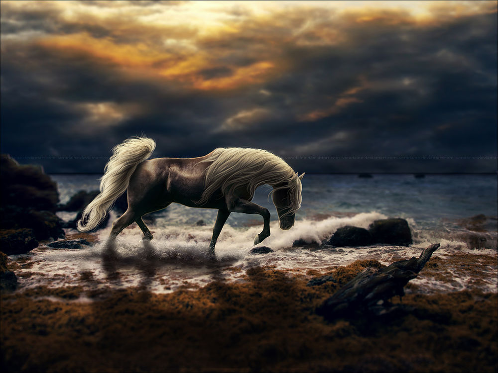 Обои для рабочего стола Лошадь с белой гривой и хвостом бежит по берегу моря на фоне серого облачного неба, художник Veradaine