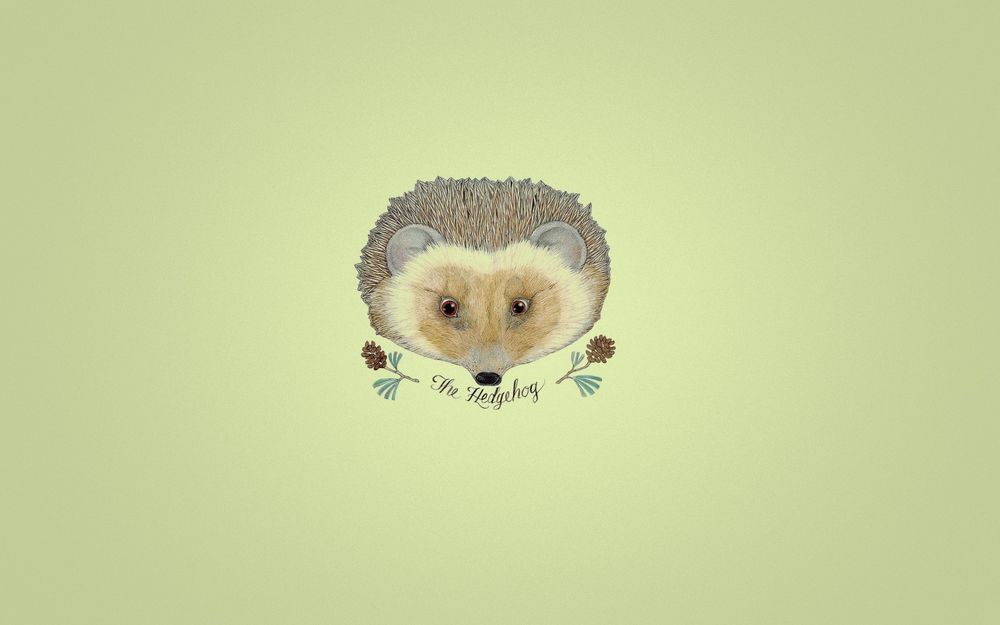 Обои для рабочего стола Нарисованный ежик (The Hedgehog)