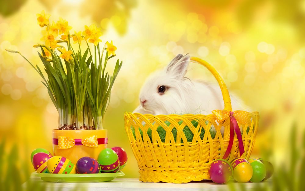 Обои для рабочего стола Пасхальный кролик сидит в корзинке рядом с нарциссами и цветными яйцами