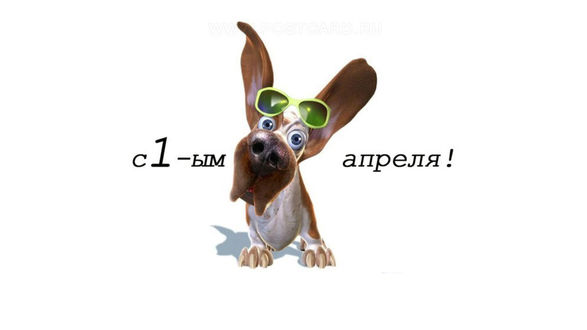 Обои на рабочий стол Такса в очках (с 1-ым апреля!)
