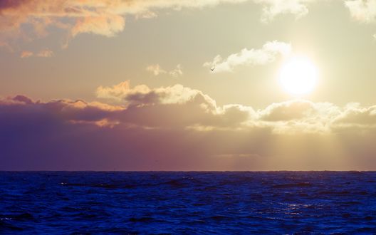 Обои на рабочий стол Море на фоне солнечного неба и солнца
