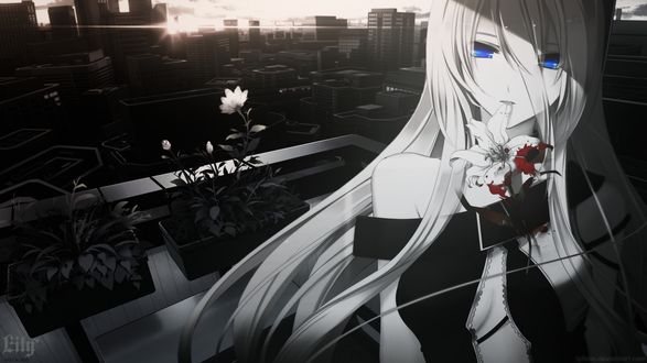 Обои на рабочий стол Вокалоид Лили / Vocaloid Lily с окрававленным цветком лилии во рту, art by