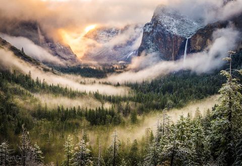 Обои на рабочий стол Хвойный лес в тумане между горами, California, USA