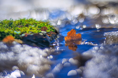 Обои на рабочий стол Осенний лист, лежащий в голубой воде ручья на фоне размытых световых бликов, автор Алексей Горохов
