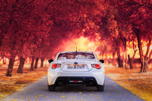 Обои на рабочий стол Автомобиль SUBARU BRZ на дороге, по обе стороны которой растут деревья, ву Mohammed ALSULTAN