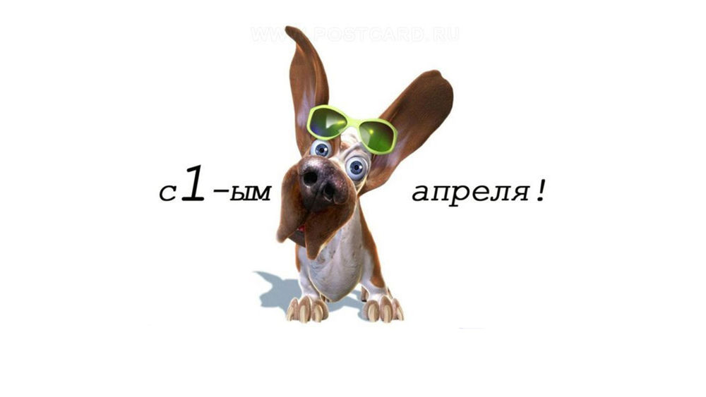 Обои для рабочего стола Такса в очках (с 1-ым апреля!)