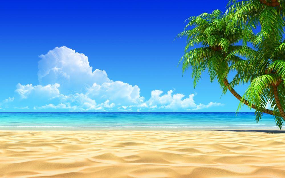 Обои для рабочего стола Пальмы на песке на фоне океана и неба