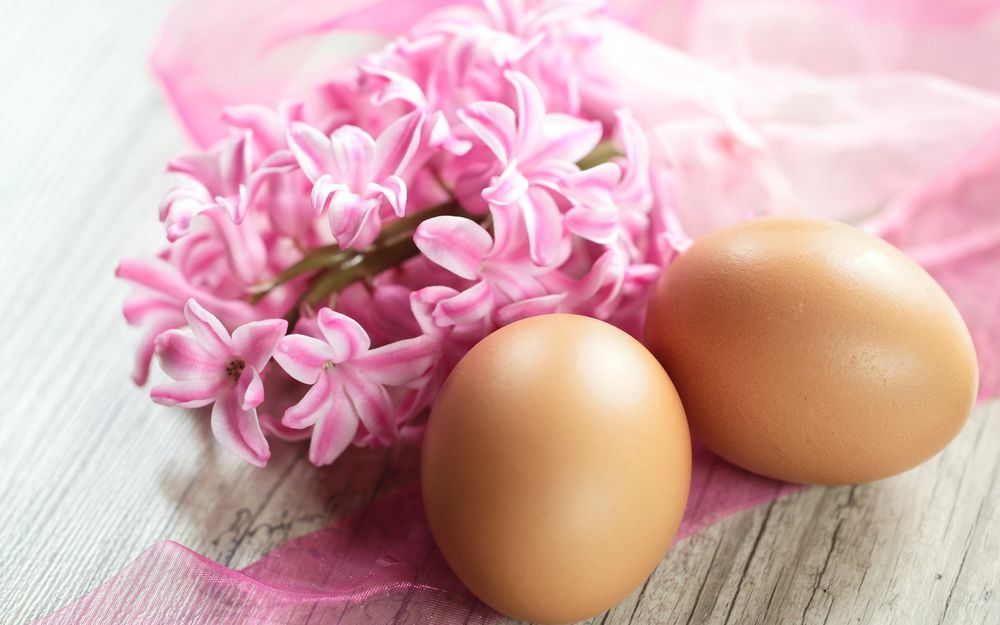 Обои для рабочего стола Два яйца рядом с розовыми цветами