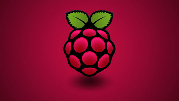 Обои на рабочий стол Малина на розовом фоне