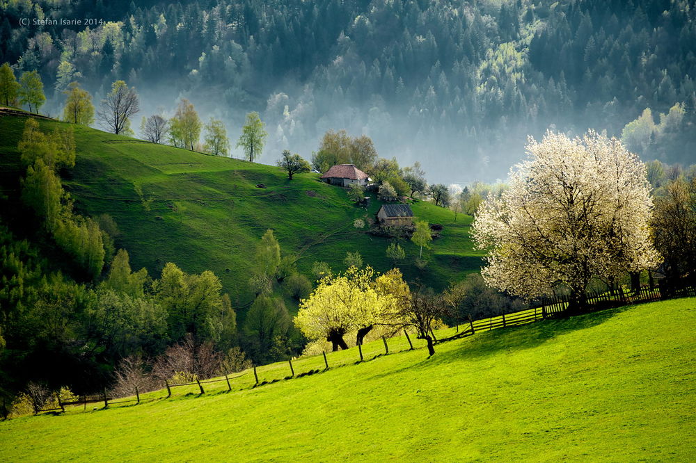 Обои для рабочего стола Весна в пригорье, Словении / Slovenia, ву Stefan Isarie
