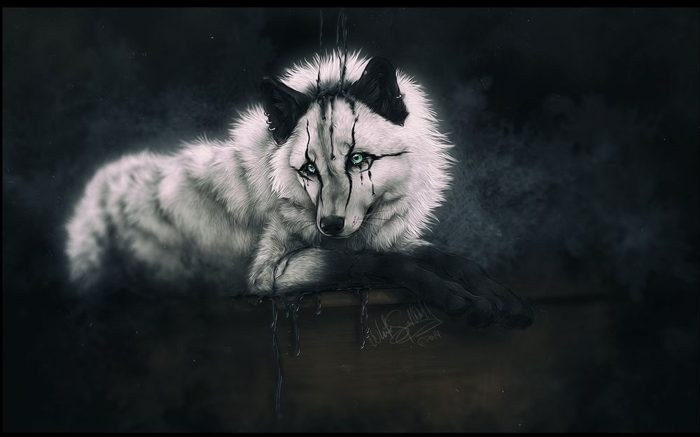 Обои для рабочего стола Белый волк с темными ушами, by whitespiritwolf-d70s1mh
