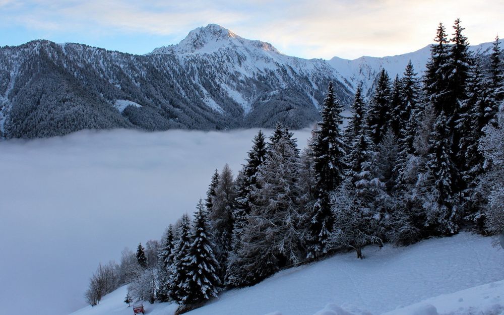 Обои для рабочего стола Горы и деревья, засыпанные снегом на фоне голубого неба с белыми облаками