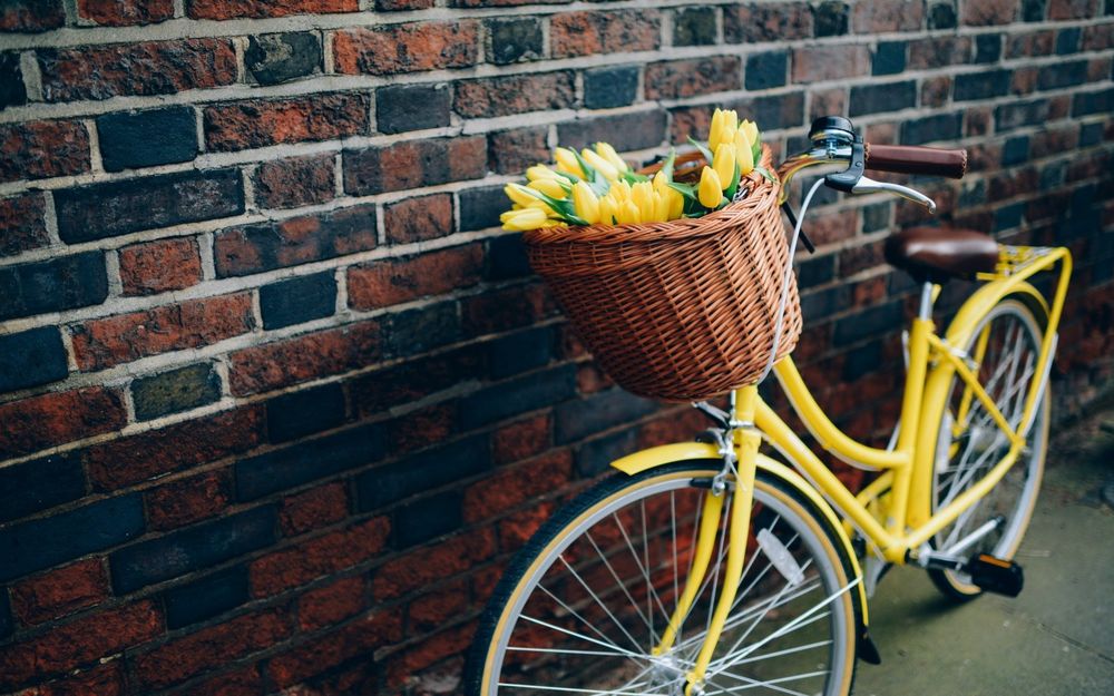 Обои для рабочего стола На ярком желтом велосипеде прикреплена корзина с желтыми тюльпанами