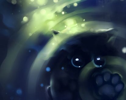 Обои на рабочий стол Котенок с большими глазками