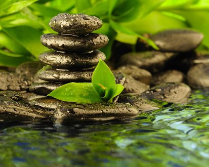 Обои на рабочий стол Камни для спа лежат в воде на фоне зелени