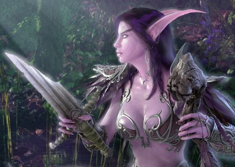 Обои на рабочий стол Night elf / Ночная эльфийка с посохом в одной руке и обломком меча в другой, из игры World of Warcraft / Мир Военного Ремесла
