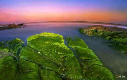 Обои на рабочий стол Каменистое, морское побережье, покрытое ярко-зелеными водорослями на фоне заката на вечернем небосклоне с разноцветными облаками, автор Kelvin