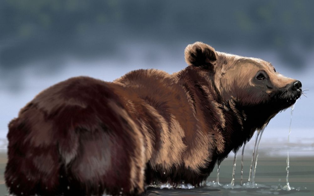 Обои для рабочего стола Медведь стоит в воде