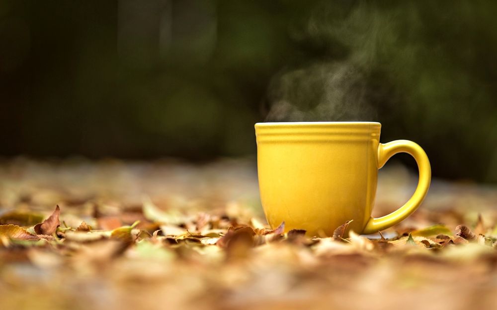 Обои для рабочего стола Желтая чашка с горячим напитком на осенних листьях