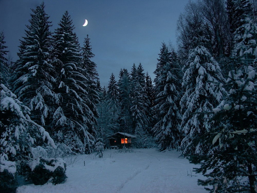 Стоковые фотографии по запросу Зимний лес дом