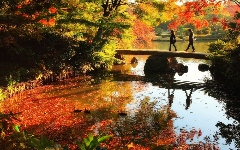 Обои для рабочего стола Небольшой пруд в парке с плавающими по воде осенними листьями, деревянным пешеходным мостиком по которому идут люди