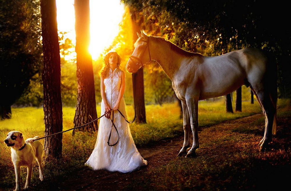 Обои для рабочего стола Светловолосая, стройная девушка в белом, длинном платье, держащая на поводке собаку, стоящая рядом со статным конем в ослепительных лучах полуденного солнца