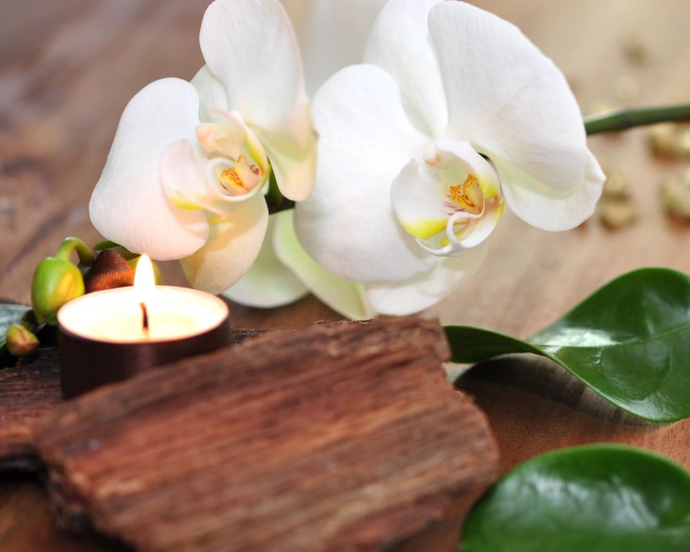 Обои для рабочего стола Цветок орхидеи фаленопсис рядом с горящей свечой