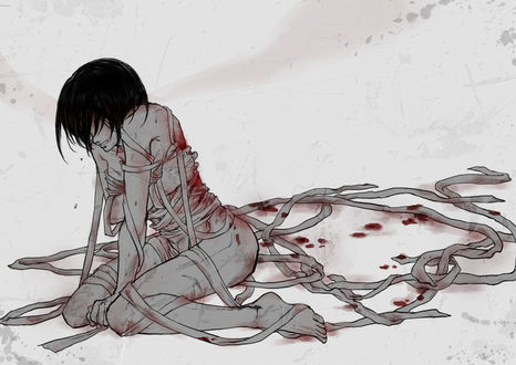 Обои на рабочий стол Mikasa Ackerman / Микаса Акерман из аниме Атака Титана / Attack on Titan / Shingeki no Kyojin