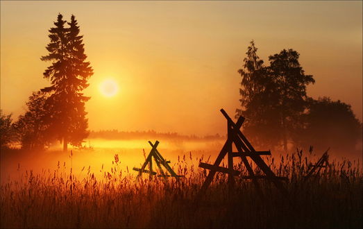 Обои в виде досок