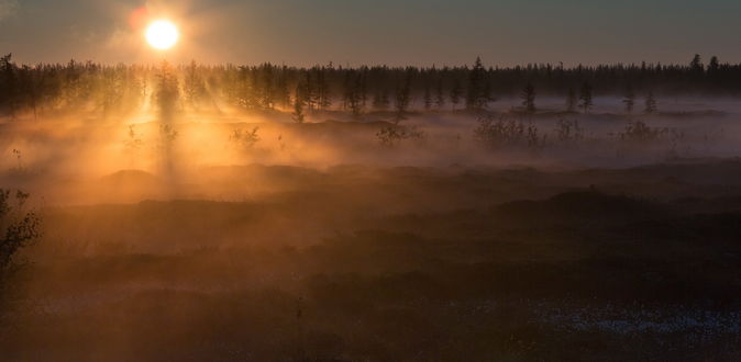 Обои солнечные лучи