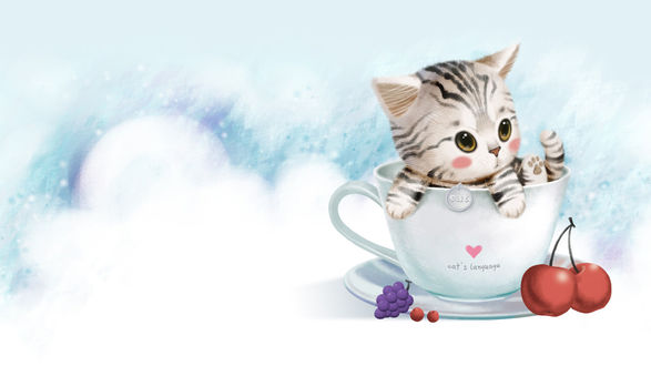 Обои на рабочий стол Полосатый котенок в кружке (cats language / кошачий язык)