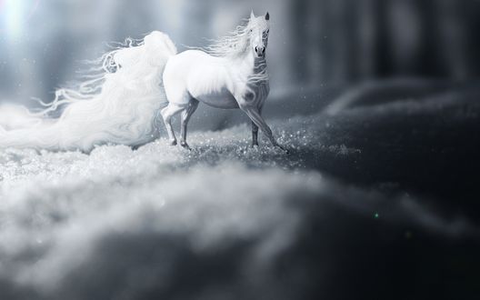 Обои на рабочий стол Белый конь скачет по снегу, арт by O-okami-I