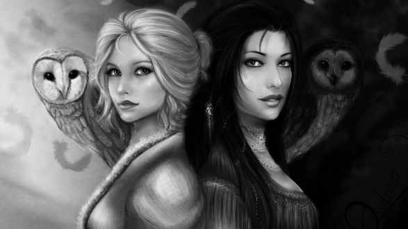Обои на рабочий стол Девушки и совы, арт by Owlivia