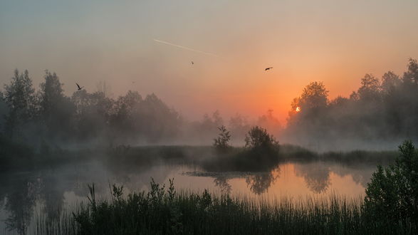 Обои на рабочий стол Лучи восходящего солнца на утреннем небосклоне осветили водную поверхность водоема с исходящей от него туманной дымкой, парящих в воздухе птиц
