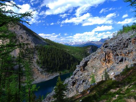 Обои на рабочий стол Озеро Льюис / Lake Louise посреди скалистых гор, поросших хвойными деревьями, Национальный парк Банф, Канада / Banff National Park, Canada