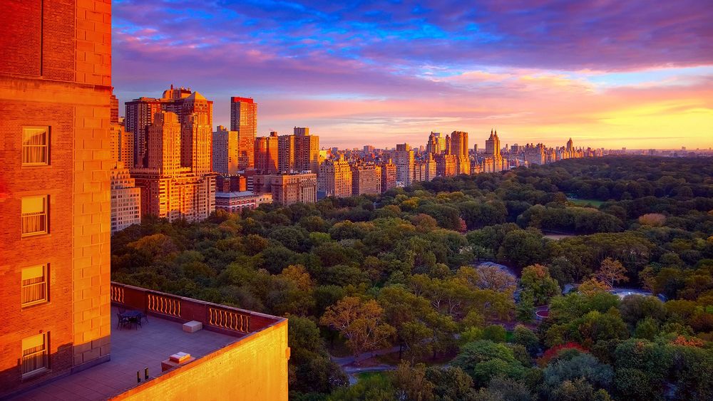 Обои для рабочего стола Нью-йоркский Центральный парк / New York Citys Central, окруженный небоскребами