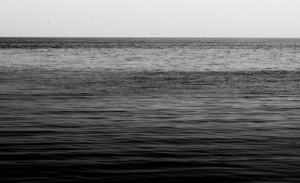 Черно белое море (38 фото)